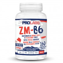 ZM-B6 160CPR